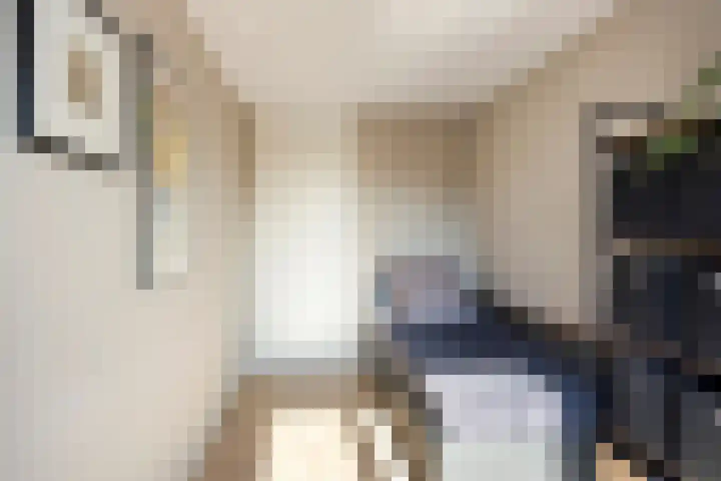 Schansstraat 39 Horst thumbnail 20