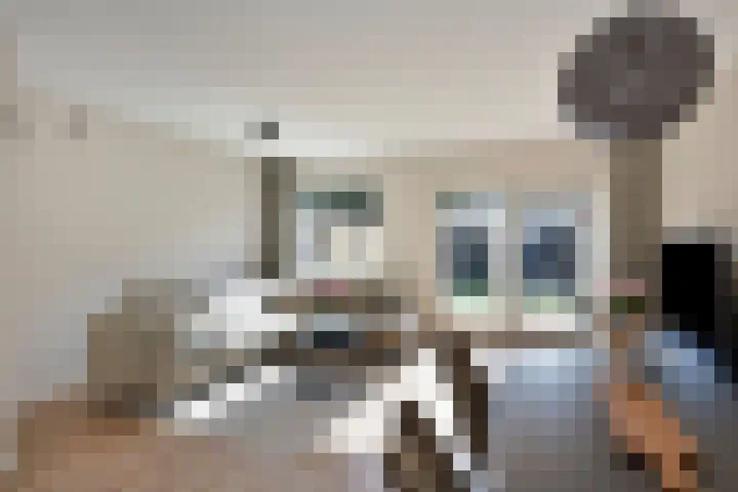 Schansstraat 39 Horst thumbnail 4