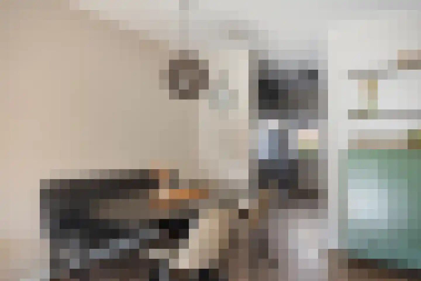 Schansstraat 39 Horst thumbnail 7