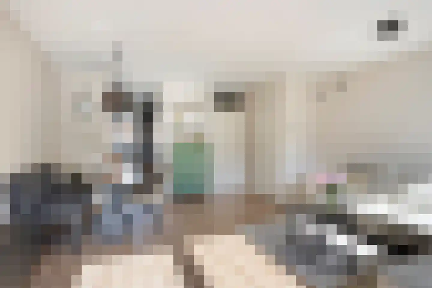Schansstraat 39 Horst thumbnail 8