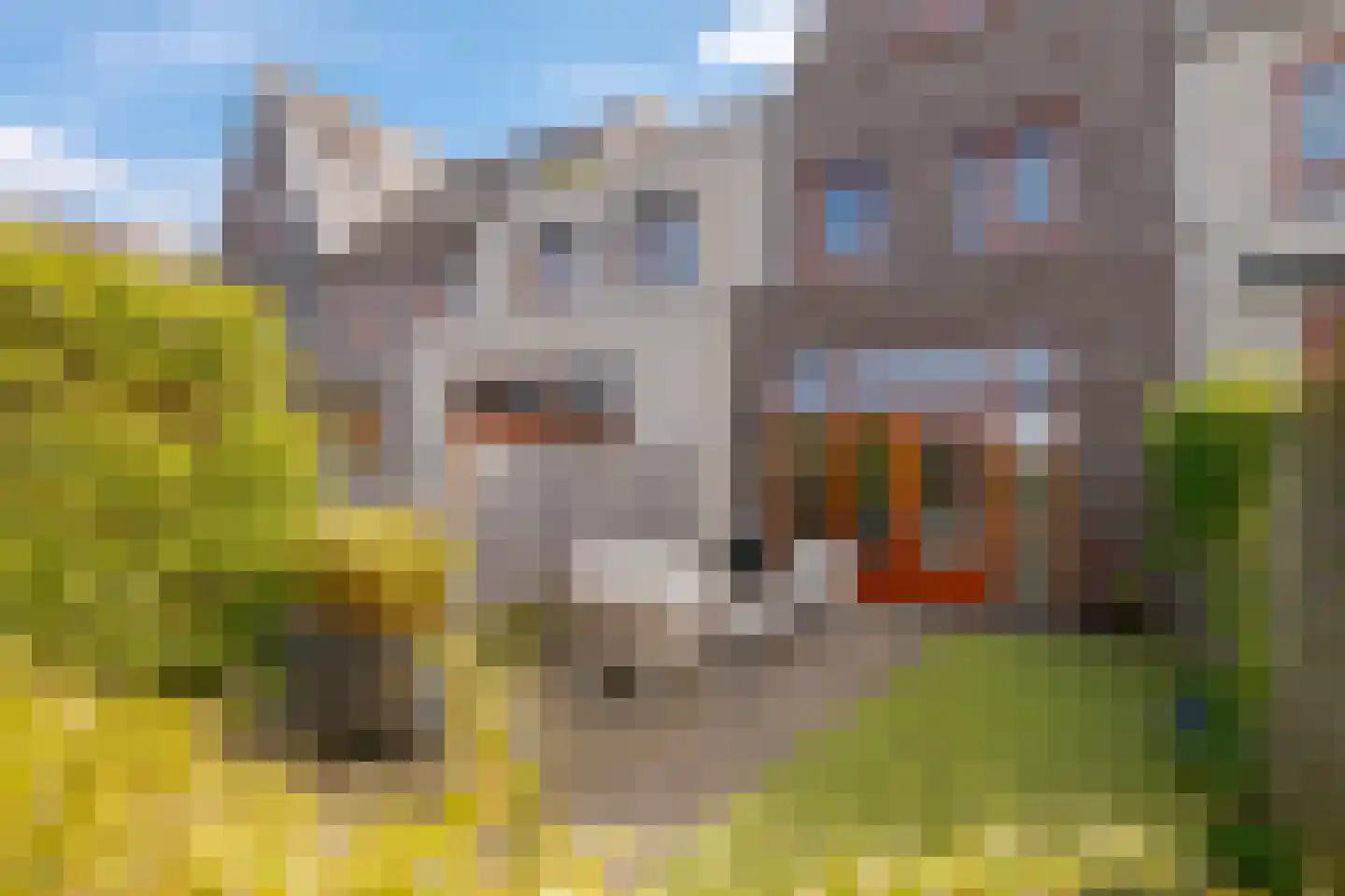 Schansstraat 40 Zwolle thumbnail 29