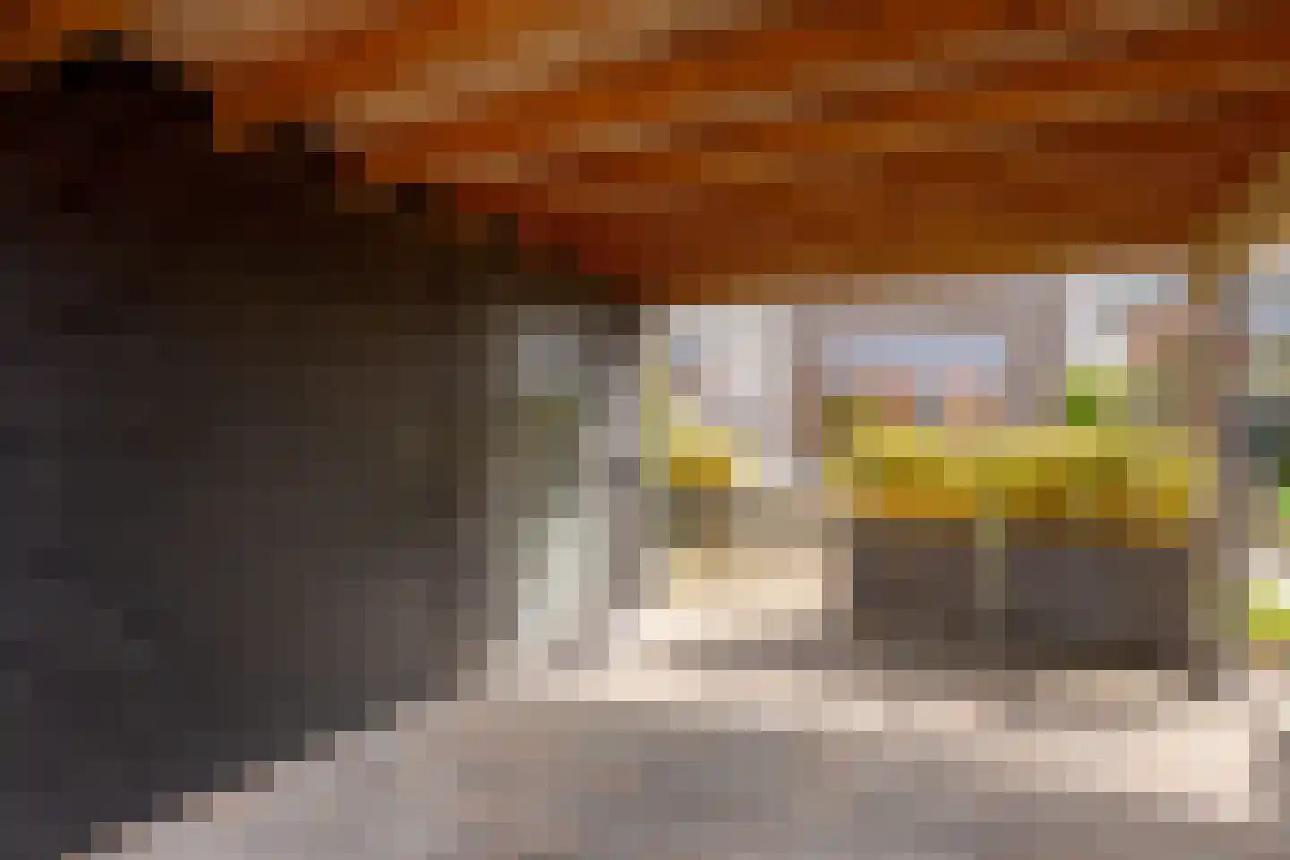 Schansstraat 40 Zwolle thumbnail 31