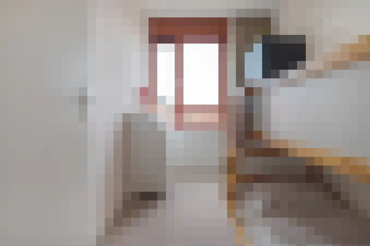 Schansstraat 40 Zwolle thumbnail 35