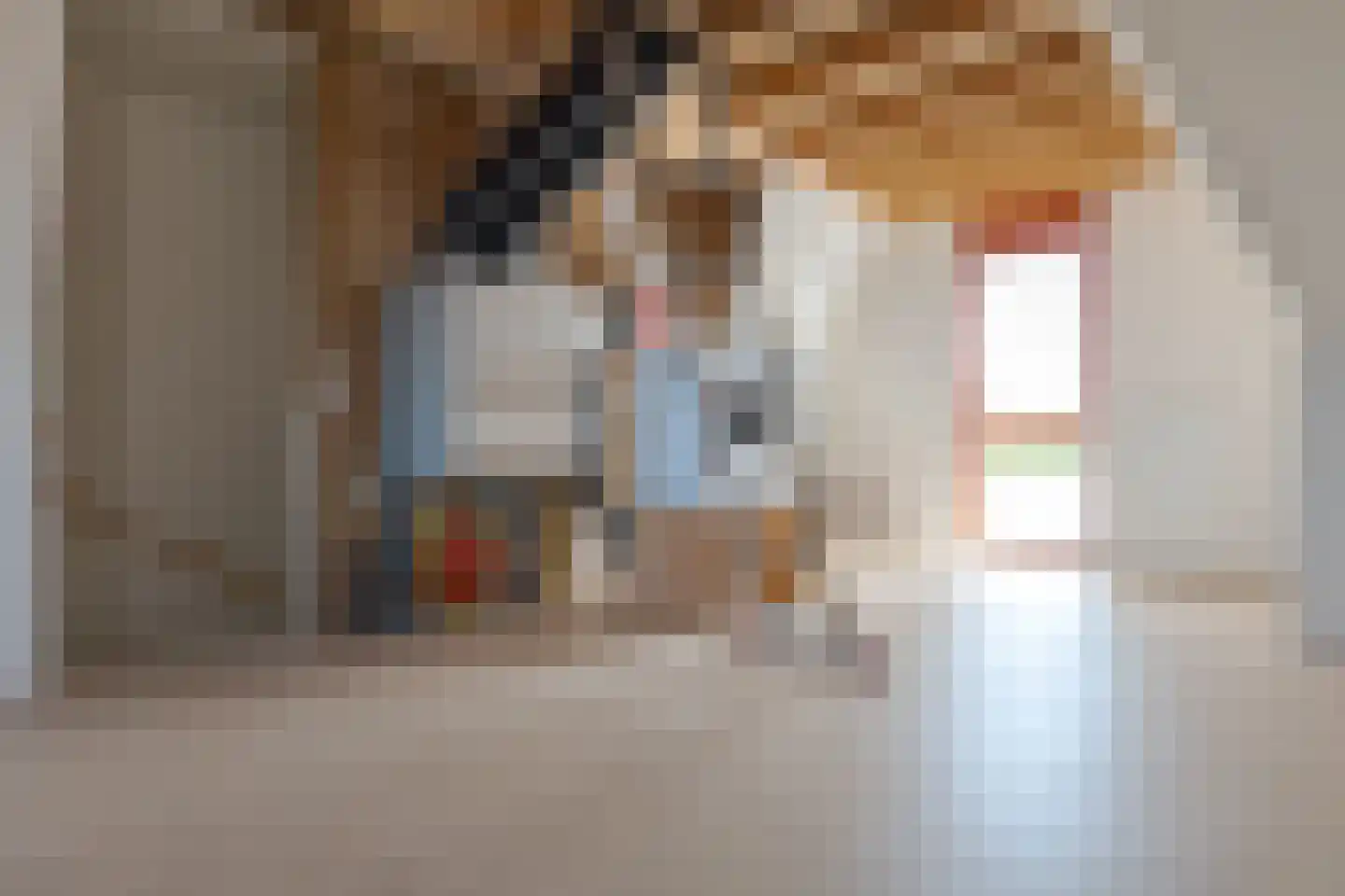 Schansstraat 40 Zwolle thumbnail 47