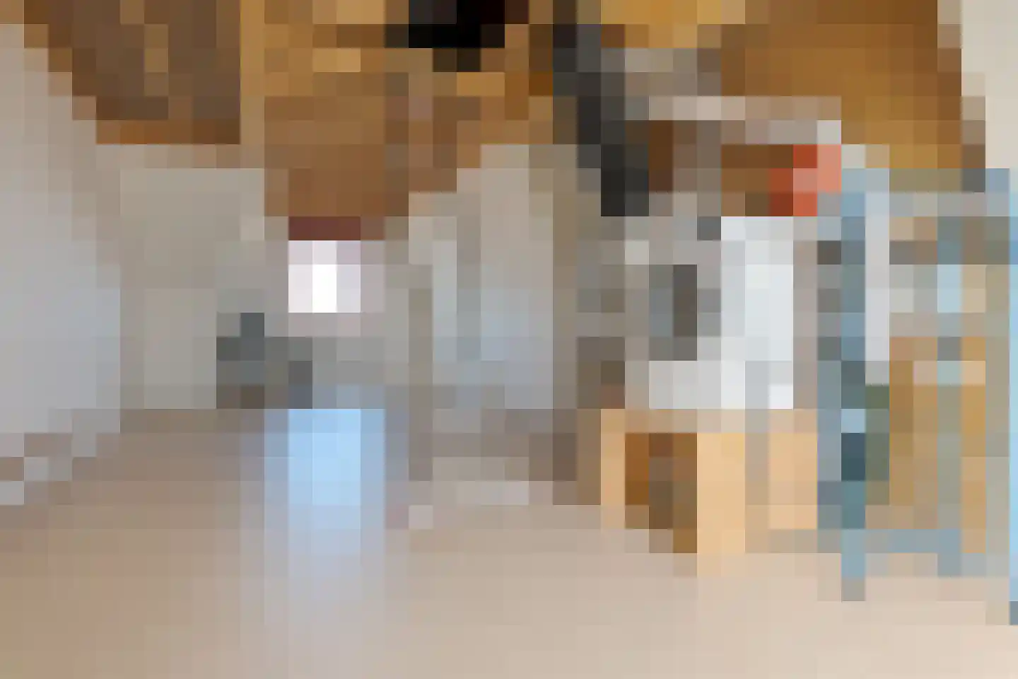 Schansstraat 40 Zwolle thumbnail 49