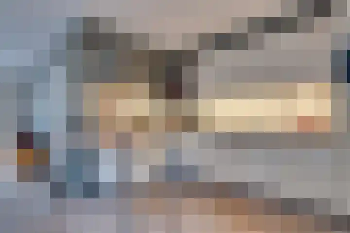 Schanswal 26 Assen thumbnail 10