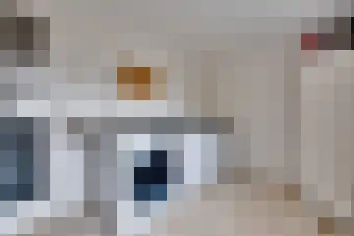 Schanswal 26 Assen thumbnail 11