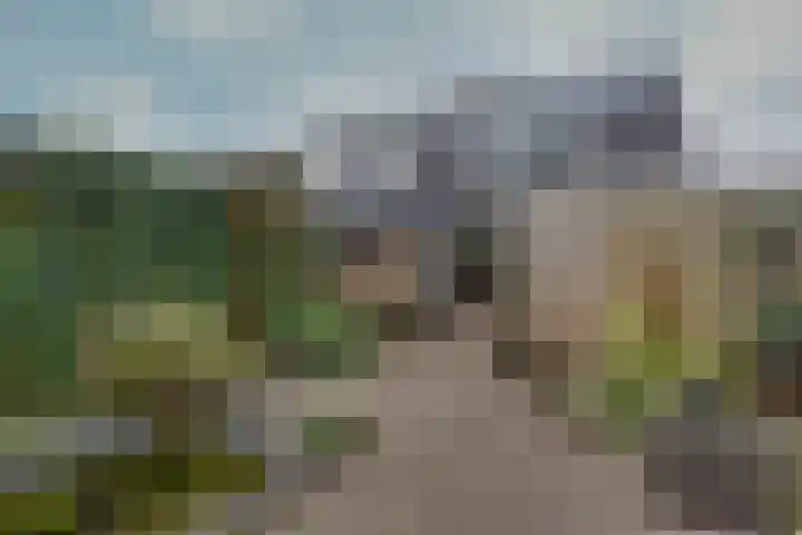 Schanswal 26 Assen thumbnail 22