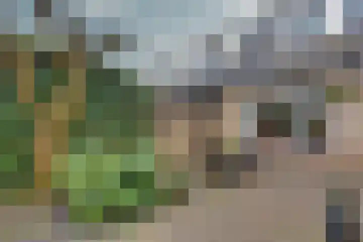 Schanswal 26 Assen thumbnail 23