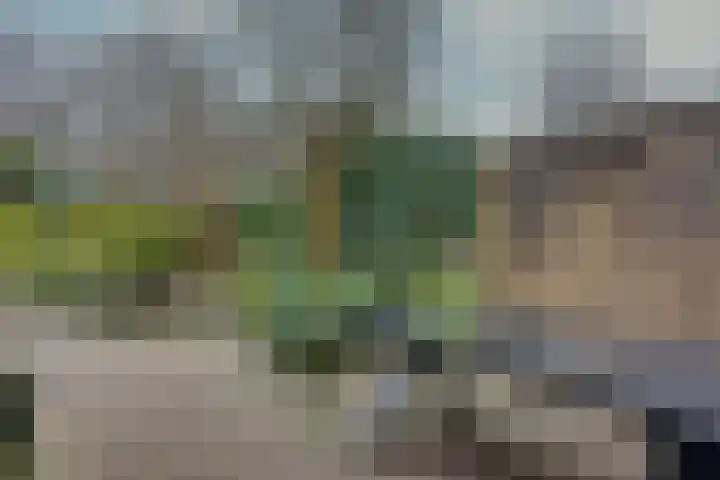 Schanswal 26 Assen thumbnail 24