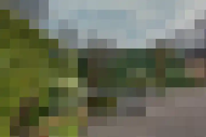 Schanswal 26 Assen thumbnail 25