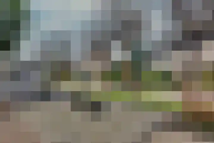 Schanswal 26 Assen thumbnail 26
