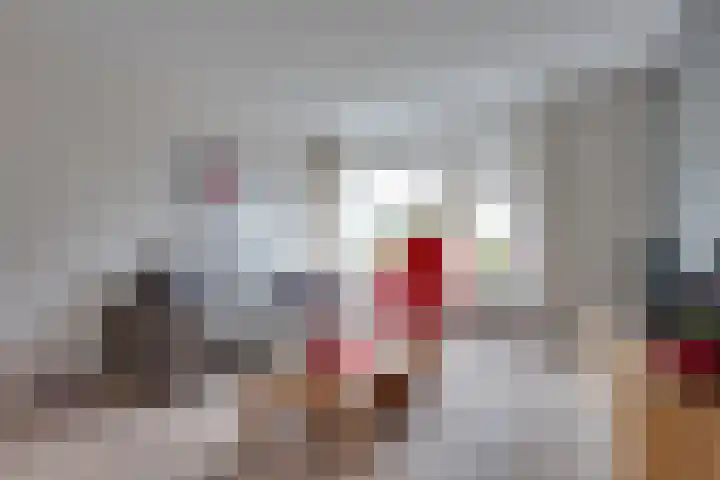 Schanswal 26 Assen thumbnail 4