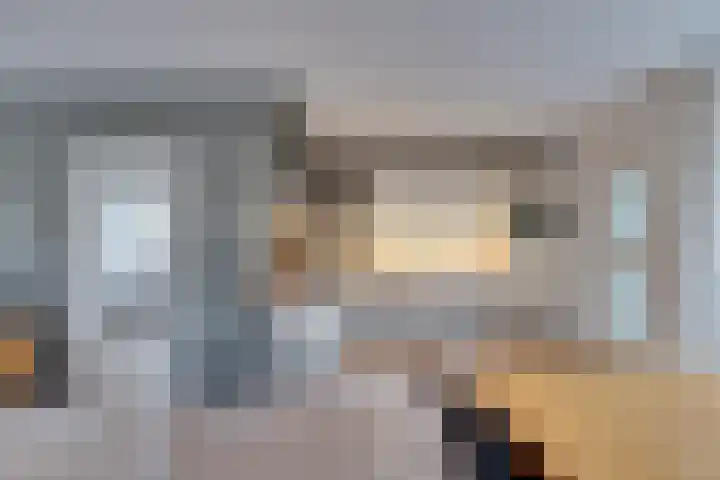Schanswal 26 Assen thumbnail 9
