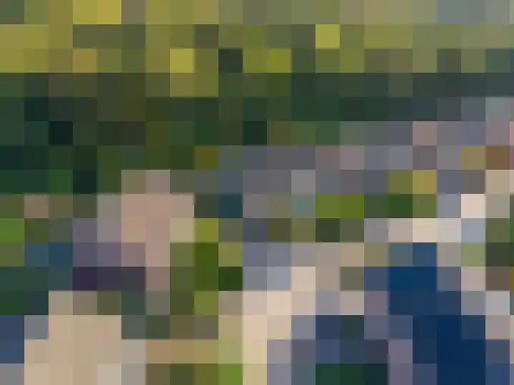 Schanswal 34 Assen thumbnail 10