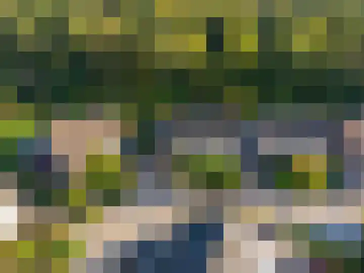 Schanswal 34 Assen thumbnail 11