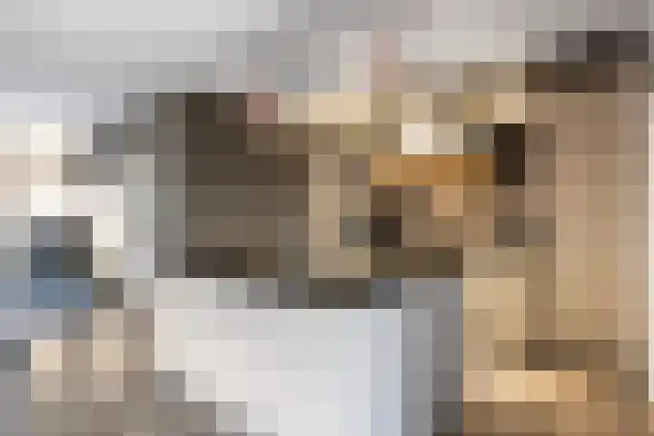Schanswal 34 Assen thumbnail 23