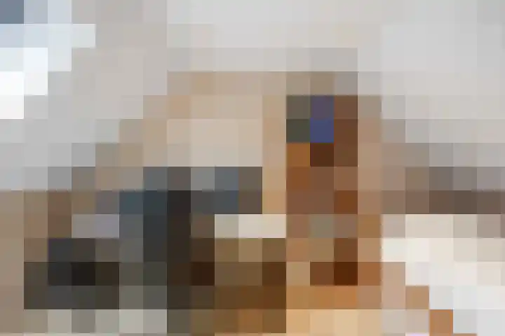 Schanswal 34 Assen thumbnail 42