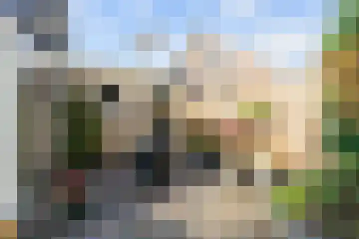 Schanswal 34 Assen thumbnail 53