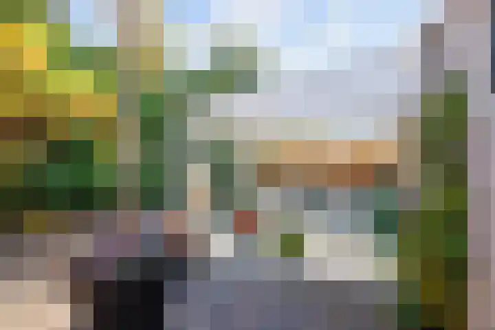 Schanswal 34 Assen thumbnail 54