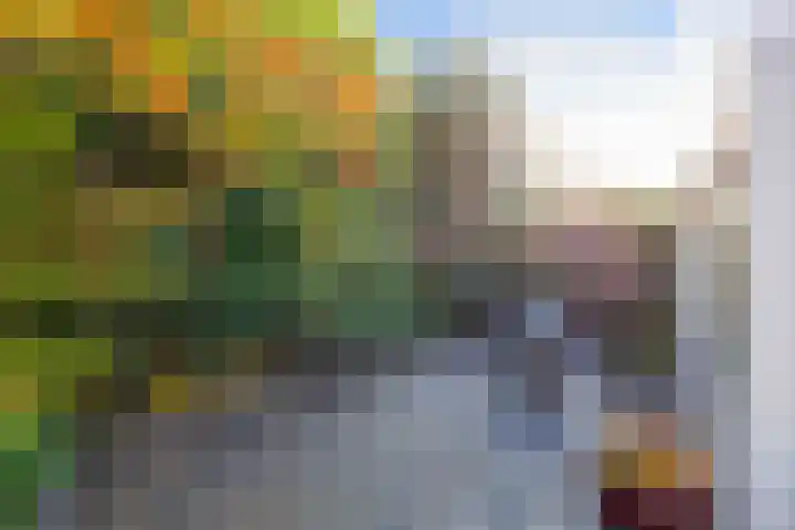 Schanswal 34 Assen thumbnail 56