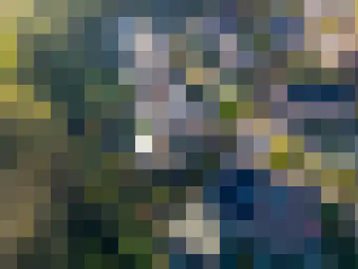Schanswal 34 Assen thumbnail 57