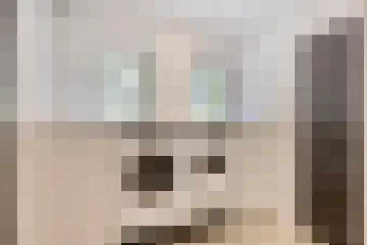 Schansweg 1 Uden thumbnail 23