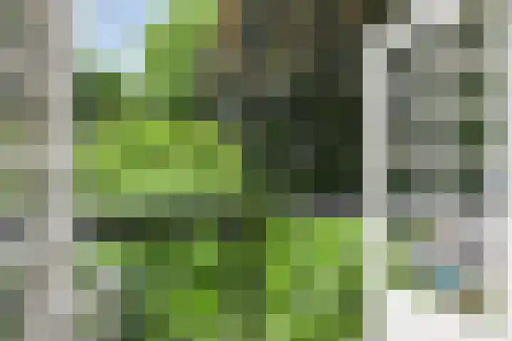 Schansweg 1 Uden thumbnail 26