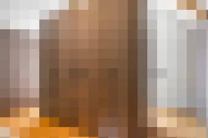 Schansweg 1 Uden thumbnail 32
