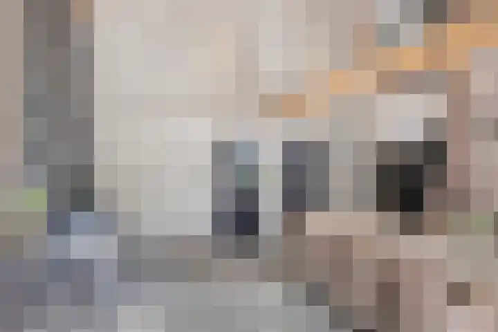 Schansweg 1 Uden thumbnail 46