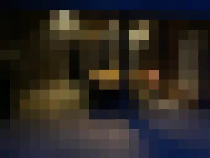 Schansweg 1 Uden thumbnail 48