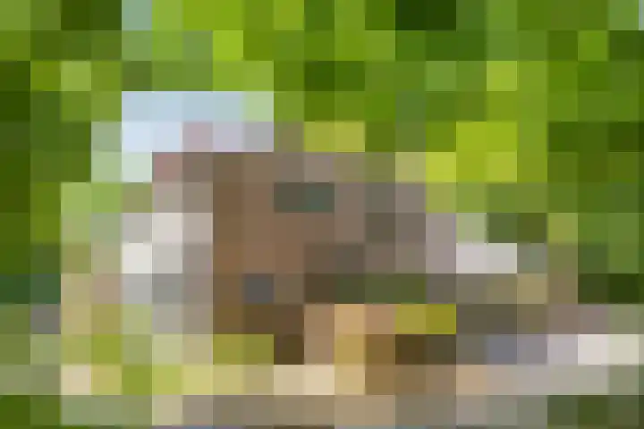 Schansweg 1 Uden thumbnail 5