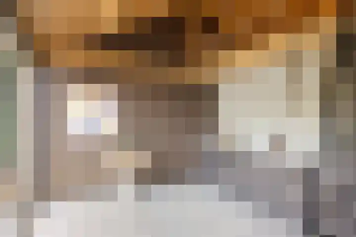 Schansweg 1 Uden thumbnail 54