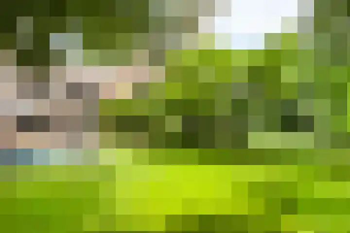 Schansweg 1 Uden thumbnail 56