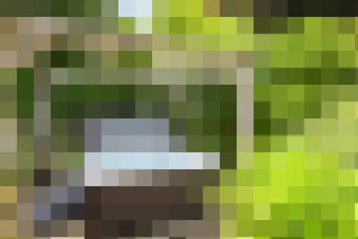 Schansweg 1 Uden thumbnail 57