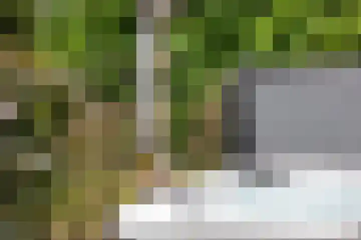 Schansweg 1 Uden thumbnail 58