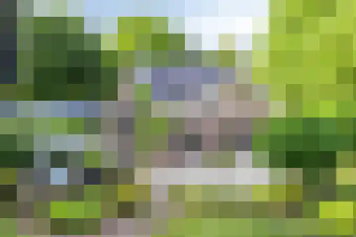 Schansweg 1 Uden thumbnail 59