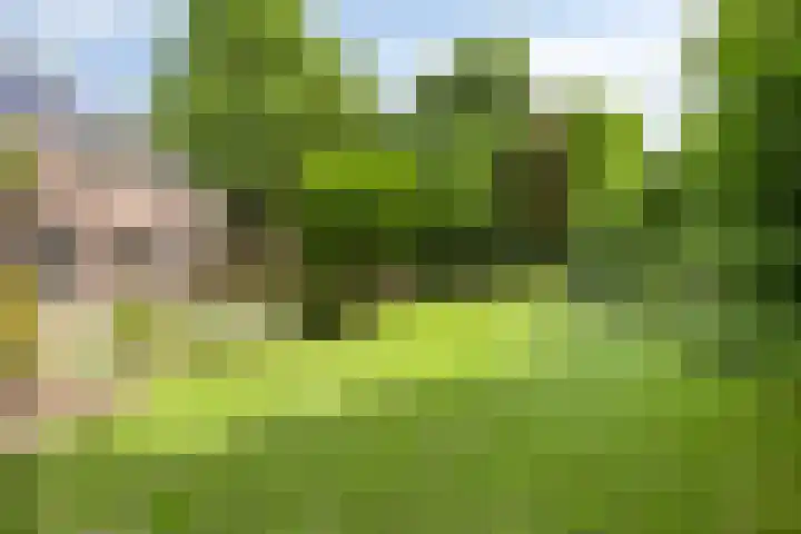 Schansweg 1 Uden thumbnail 60