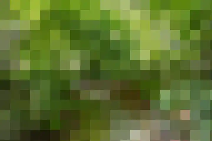 Schansweg 1 Uden thumbnail 61