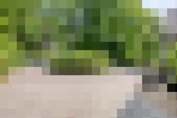 Schansweg 1 Uden thumbnail 62