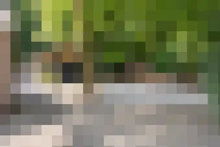 Schansweg 1 Uden thumbnail 63