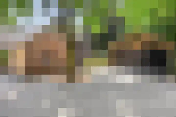 Schansweg 1 Uden thumbnail 64