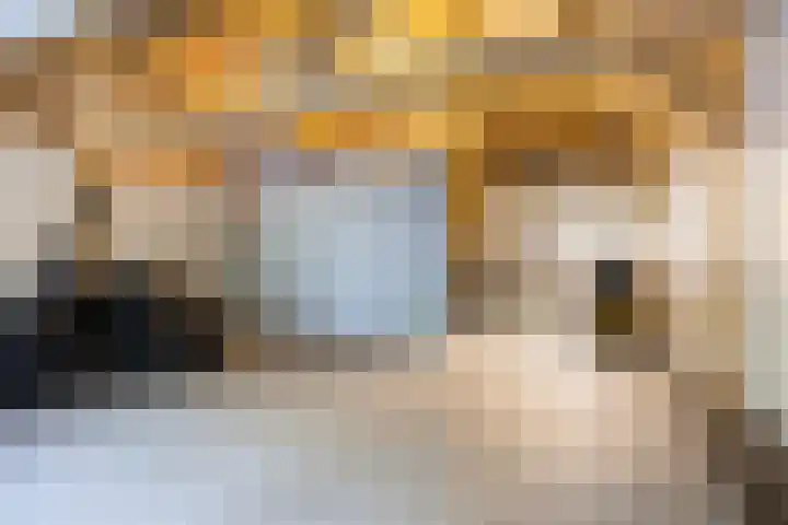 Schansweg 1 Uden thumbnail 65
