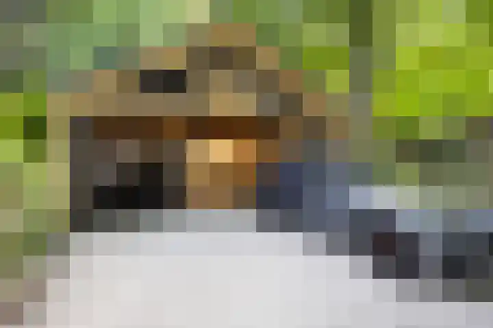Schansweg 1 Uden thumbnail 66