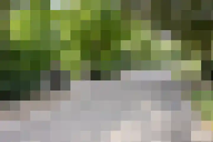 Schansweg 1 Uden thumbnail 70