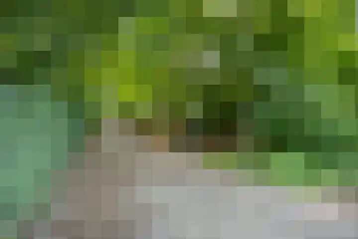 Schansweg 1 Uden thumbnail 71