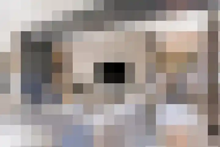 Schansweg 1 Uden thumbnail 9