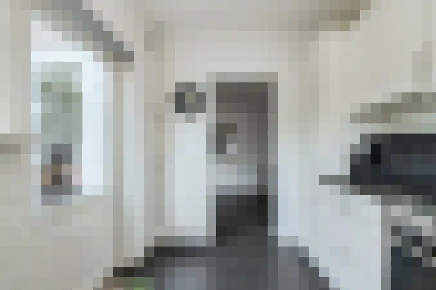 Schansweg 15 Geertruidenberg thumbnail 18
