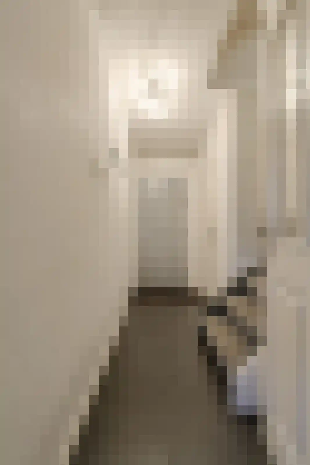 Schansweg 15 Geertruidenberg thumbnail 20
