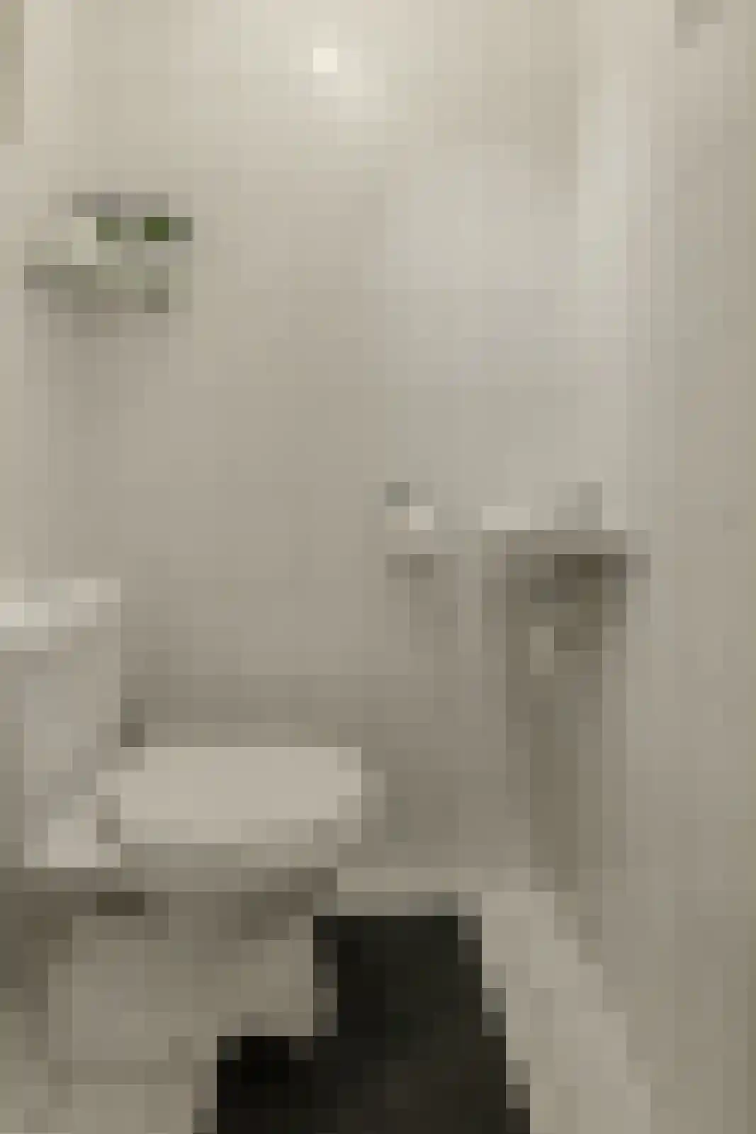 Schansweg 15 Geertruidenberg thumbnail 21